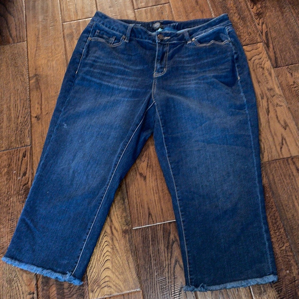 LANE BRYANT GIRLFRIEND CROP Size 14